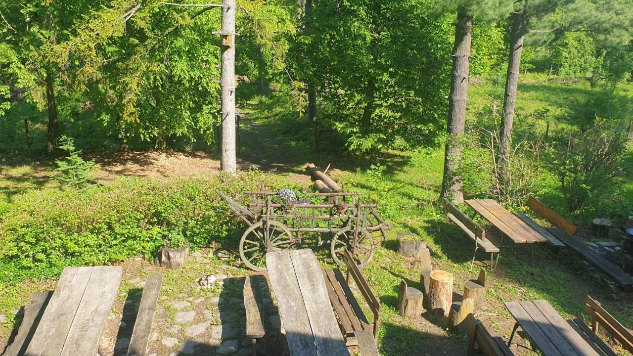 Fehérkőlápa Turistaház Panzió Hostel Lillafüred Kültér fotó