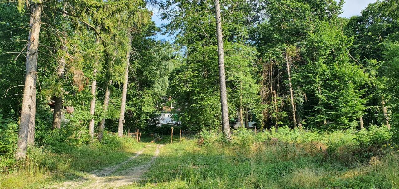 Fehérkőlápa Turistaház Panzió Hostel Lillafüred Kültér fotó