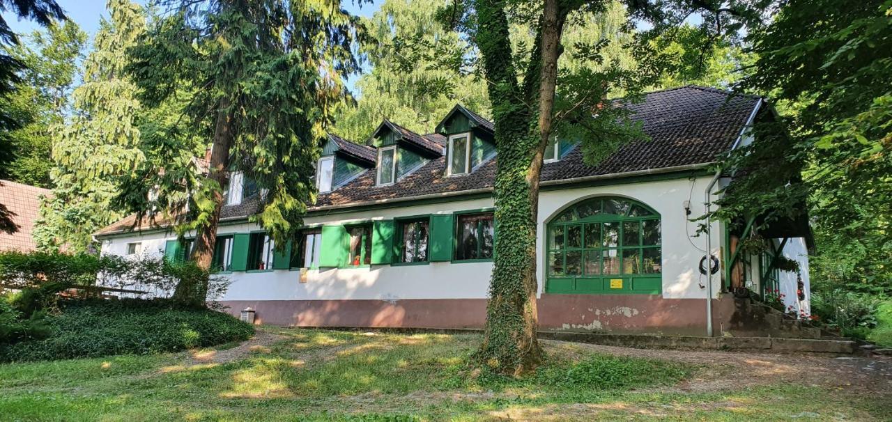 Fehérkőlápa Turistaház Panzió Hostel Lillafüred Kültér fotó