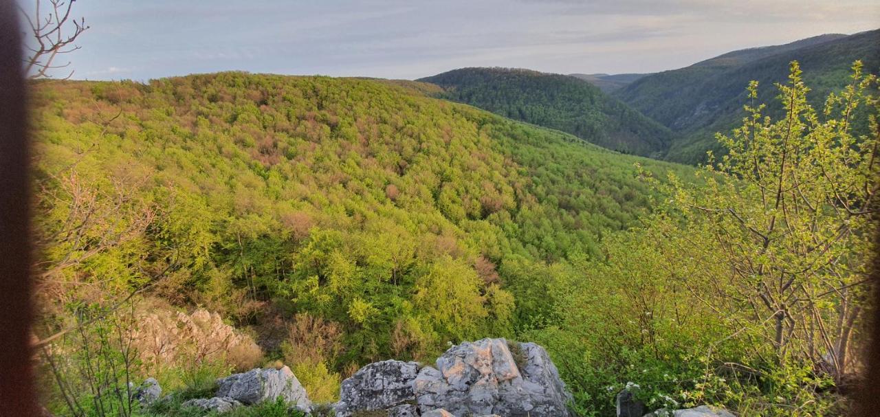 Fehérkőlápa Turistaház Panzió Hostel Lillafüred Kültér fotó